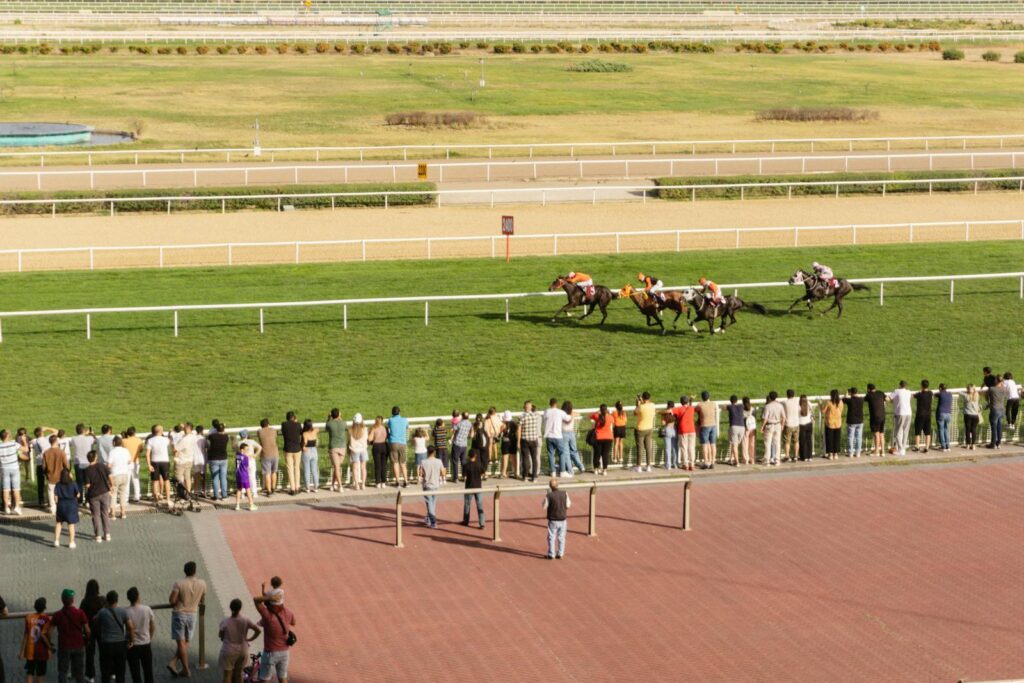 Spectators watch an exciting horse race on a sunny day at a racetrack. Vibrant and competitive atmosphere.