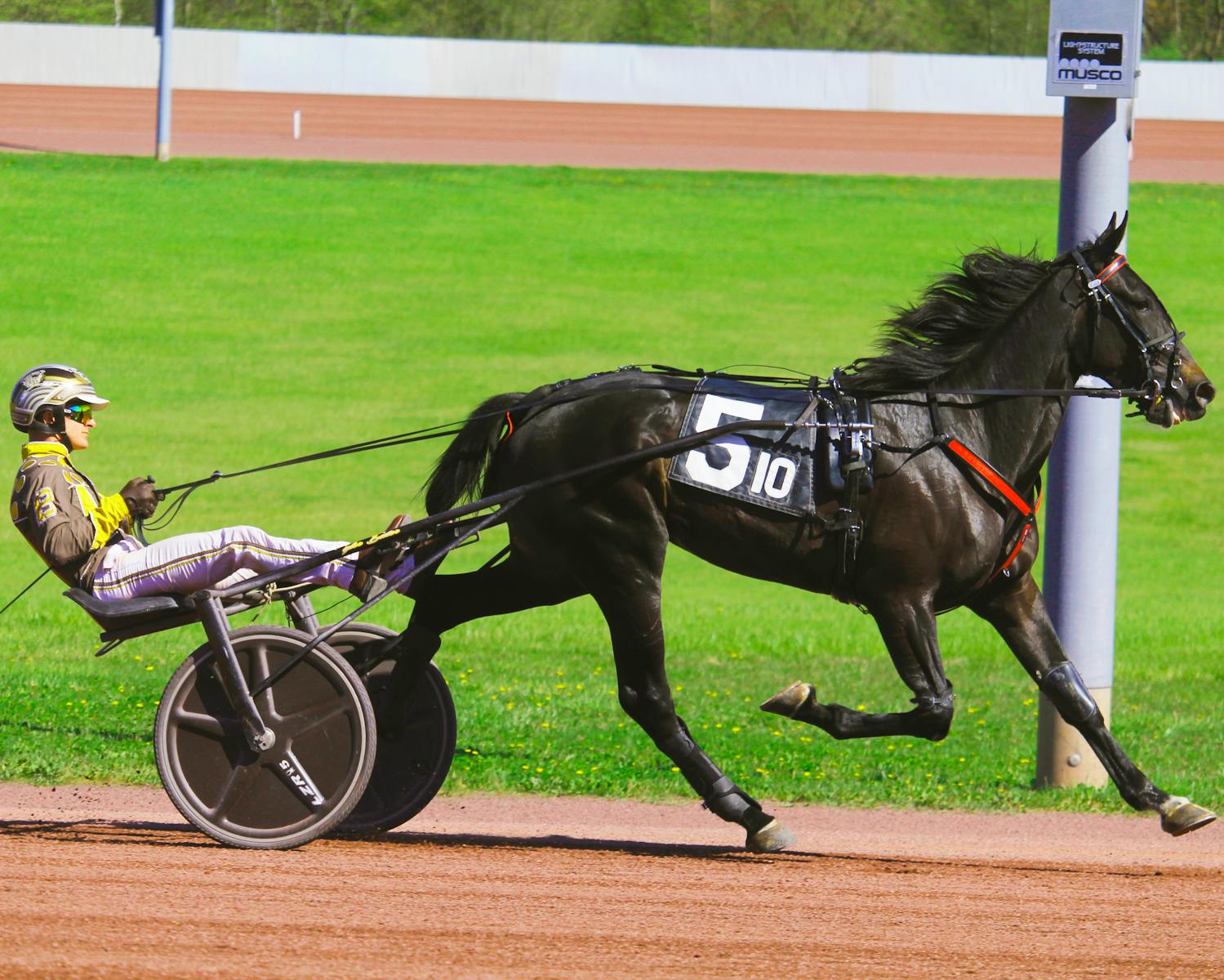 Harness racing action featuring a jockey and horse on a vibrant sunny day at the track.